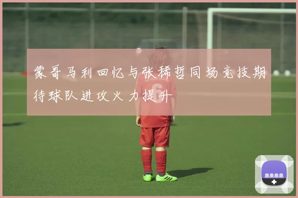 蒙哥马利回忆与张稀哲同场竞技期待球队进攻火力提升
