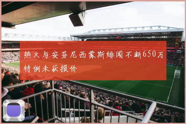 热火与安芬尼西蒙斯绯闻不断650万特例未获报价