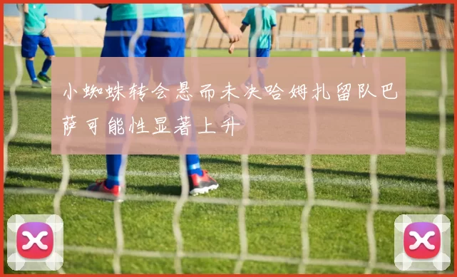 小蜘蛛转会悬而未决哈姆扎留队巴萨可能性显著上升